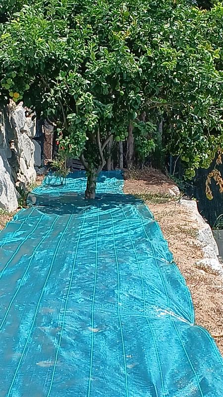 Abrir modal de revisión 1 de 1