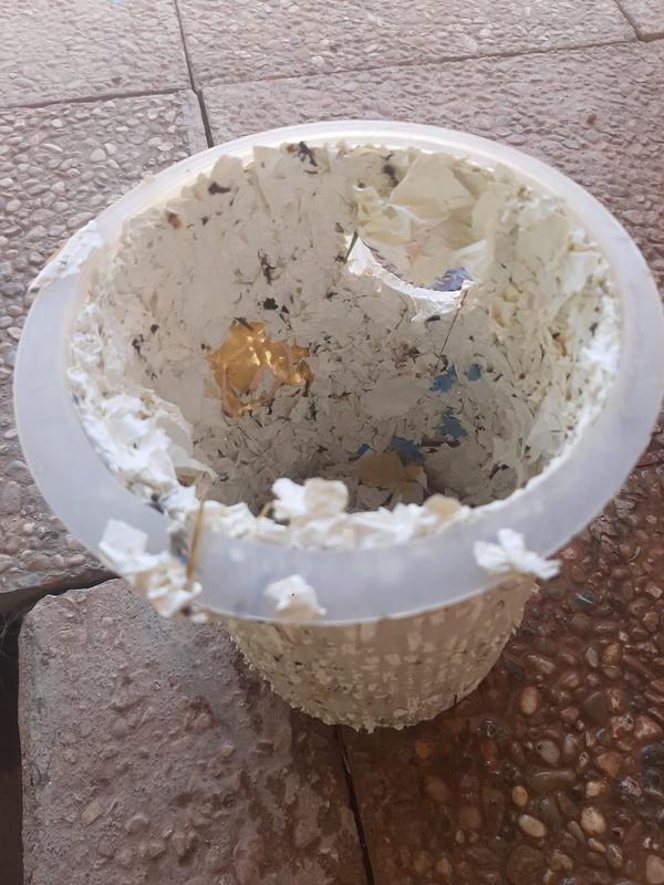 Abrir modal de revisión 1 de 2