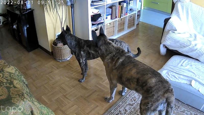 Ouvrir la fenêtre modale de l'avis 1 sur 2