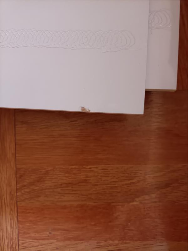 Abrir modal de revisión 1 de 4