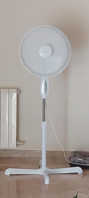 Abrir modal de revisión 1 de 1