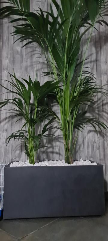 Abrir modal de revisión 1 de 1