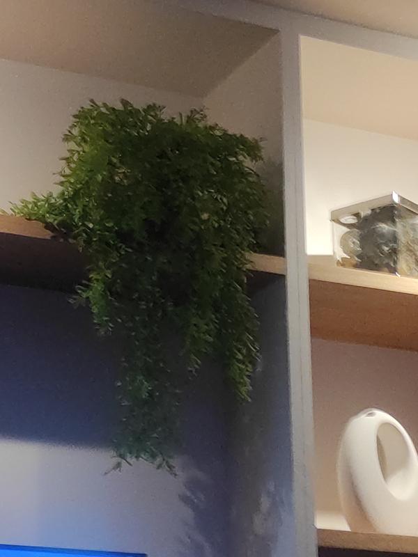 Abrir modal de revisión 1 de 1