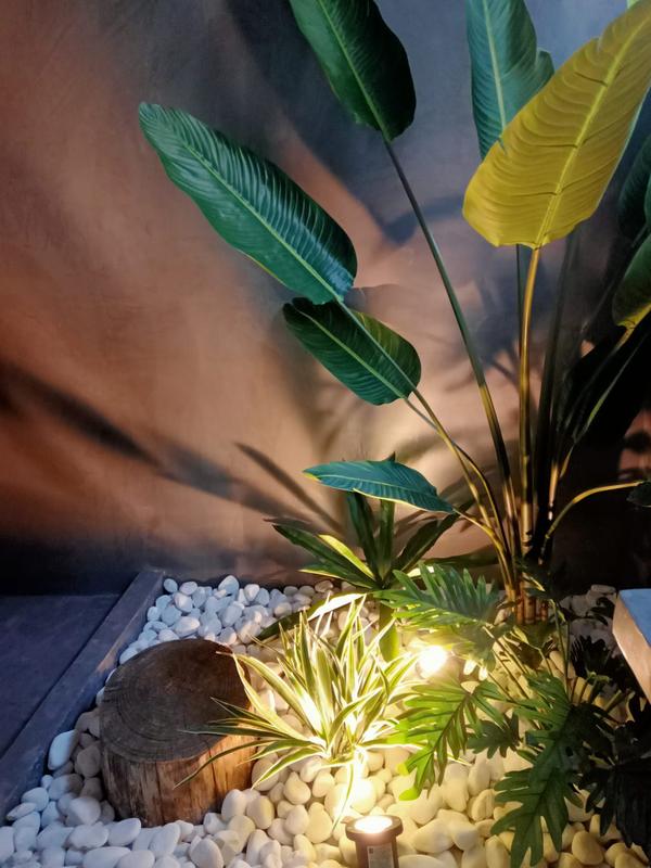 Abrir modal de revisión 1 de 1