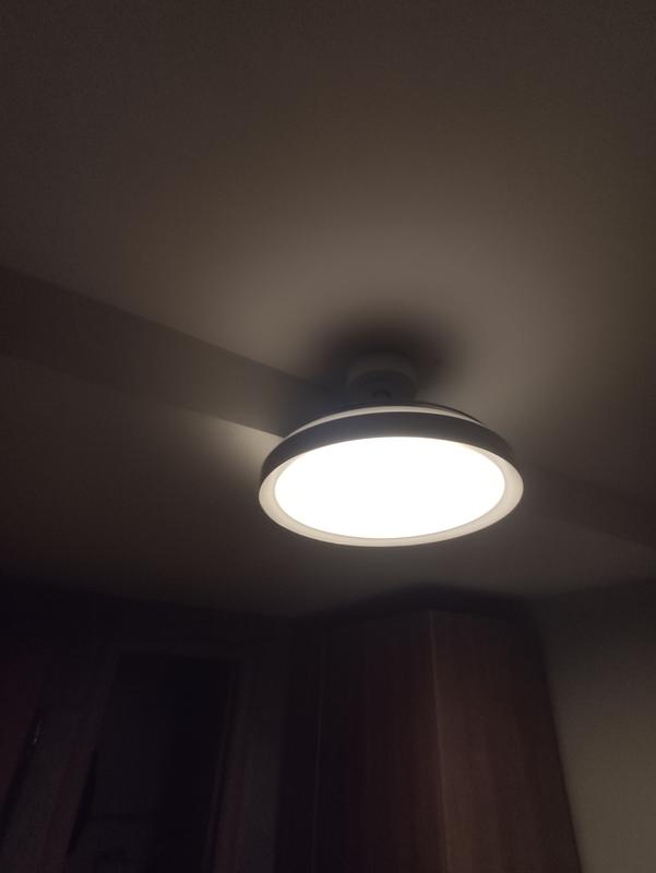 Abrir modal de revisión 1 de 1