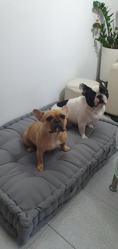 Abrir modal de revisión 1 de 1