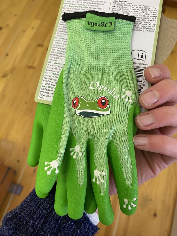 Abrir modal de revisión 1 de 2