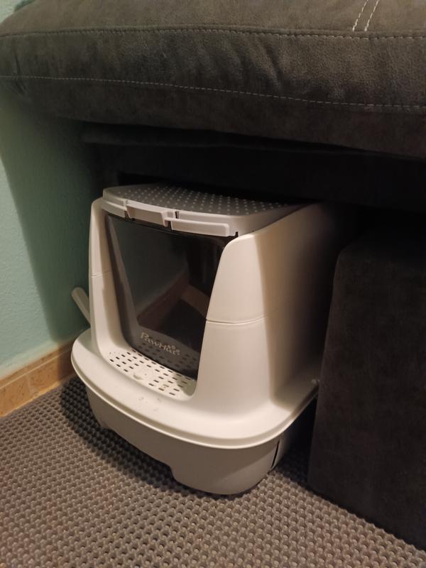 Abrir modal de revisión 1 de 1