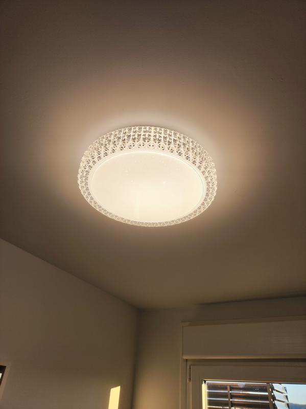 Abrir modal de revisión 5 de 6