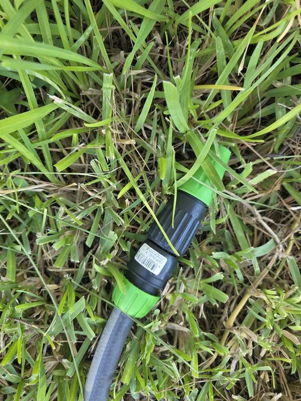 Abra o modal de avaliação 1 de 1