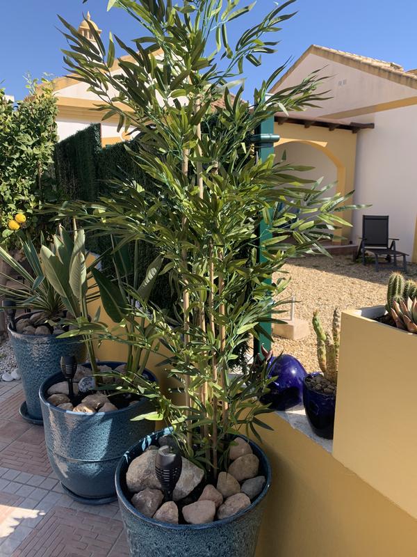 Abra o modal de avaliação 1 de 1