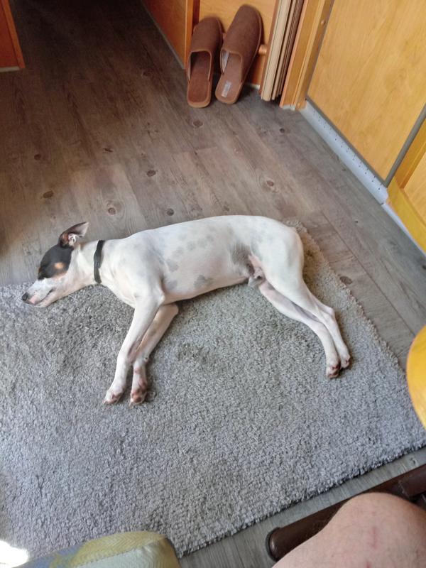 Abrir modal de revisión 1 de 2