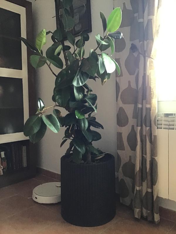 Abrir modal de revisión 1 de 1