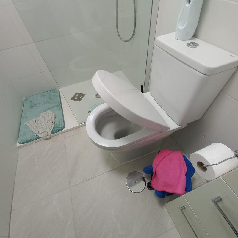 Tapa de WC Roca Dama Senso compatible