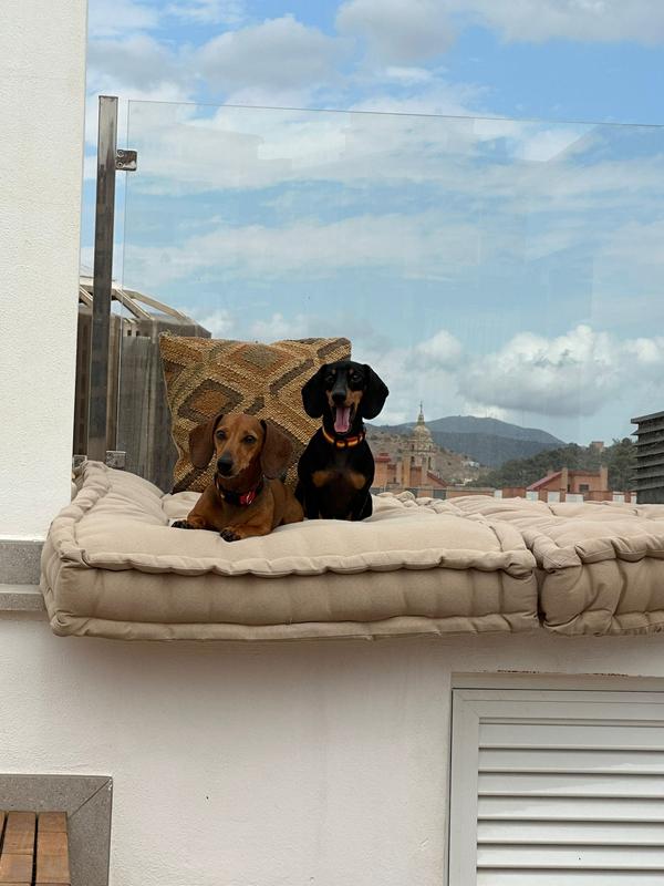 Abra o modal de avaliação 2 de 2