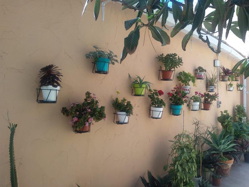 Porta Macetas Ganchos Para Colgar Macetas Leroy Merlin Comprar Set