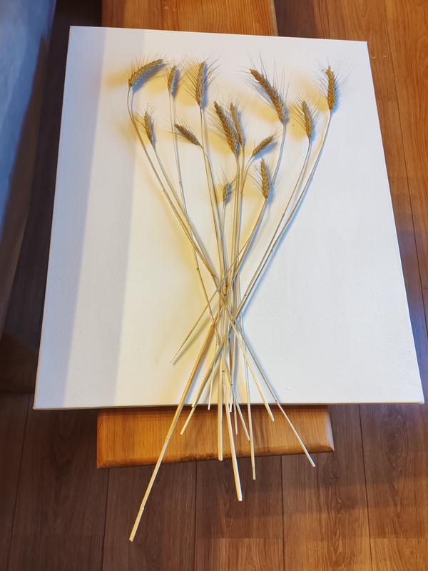 Abrir modal de revisión 1 de 1