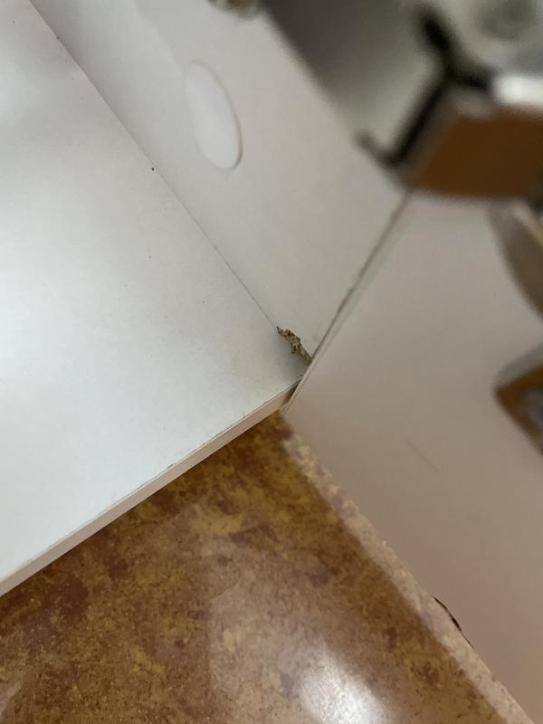 Abra o modal de avaliação 2 de 2