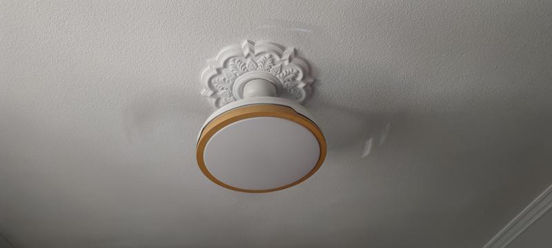 Ouvrir la fenêtre modale de l'avis 1 sur 1