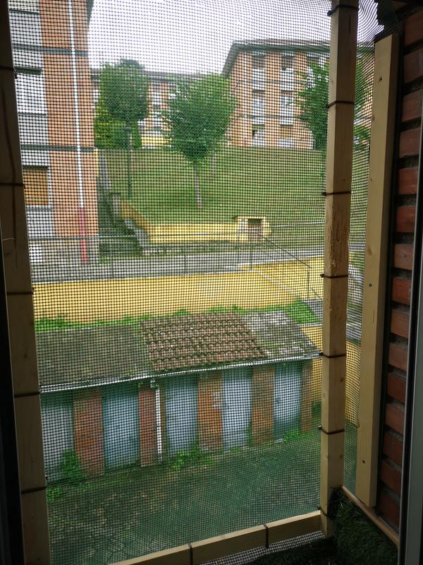 Abrir modal de revisión 2 de 2