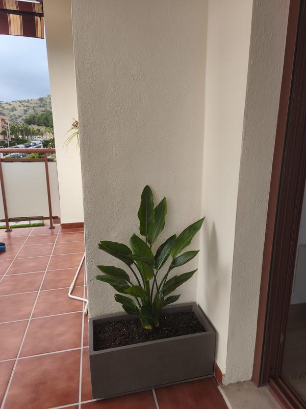 Abrir modal de revisión 1 de 1