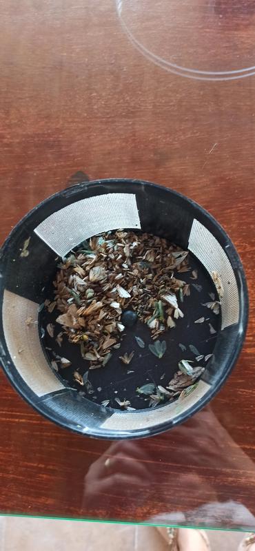 Abra o modal de avaliação 1 de 1