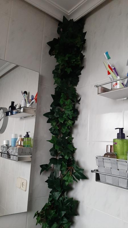 Abrir modal de revisión 1 de 1