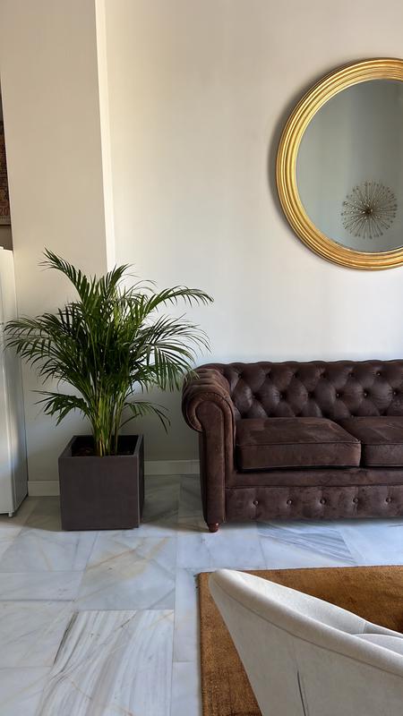 Abrir modal de revisión 1 de 1