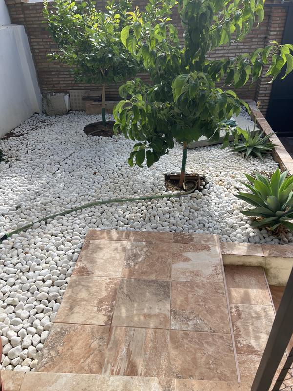 Abrir modal de revisión 1 de 1