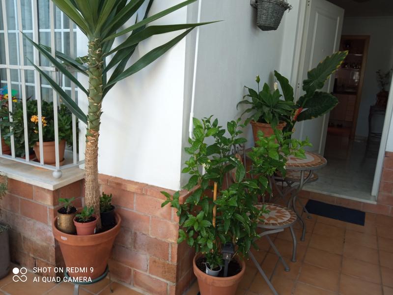 Abrir modal de revisión 1 de 2