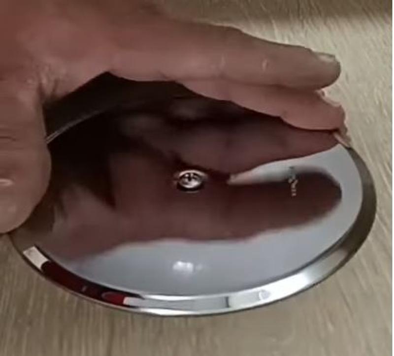 Abrir modal de revisión 1 de 1