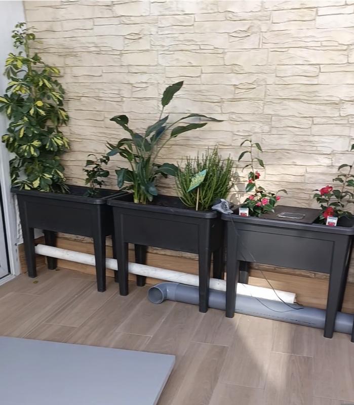 Abrir modal de revisión 1 de 1