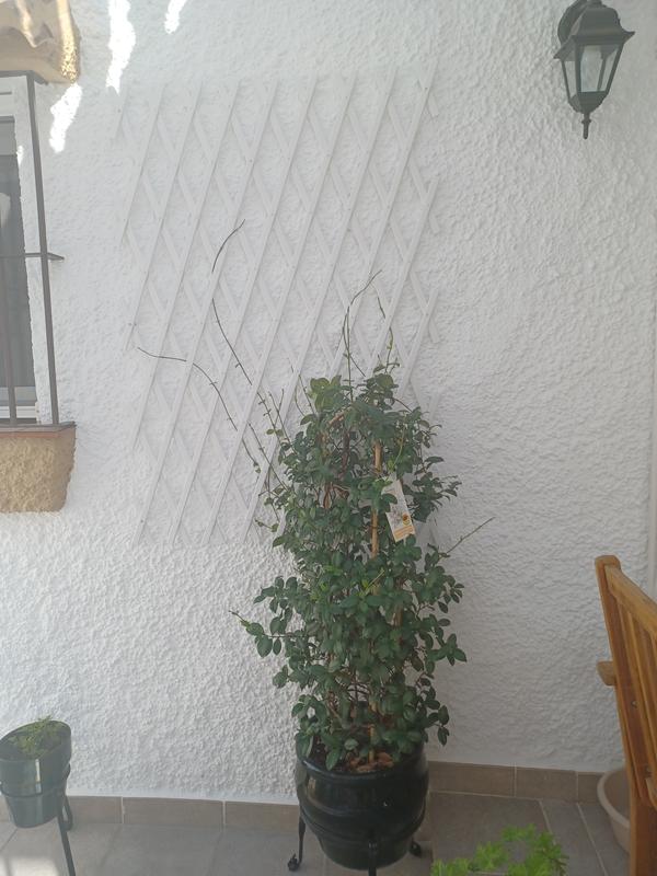 Abra o modal de avaliação 1 de 1