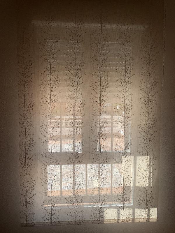 Abrir modal de revisión 1 de 1