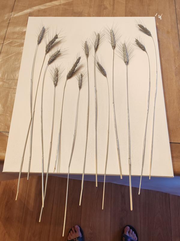 Abrir modal de revisión 1 de 1