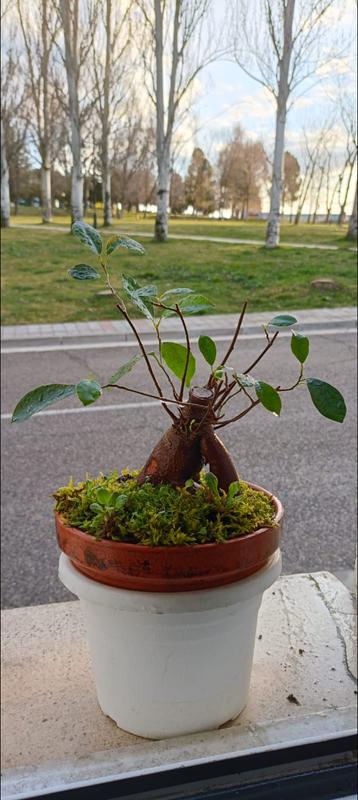 Abra o modal de avaliação 2 de 3