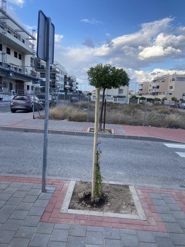 Abrir modal de revisión 1 de 1