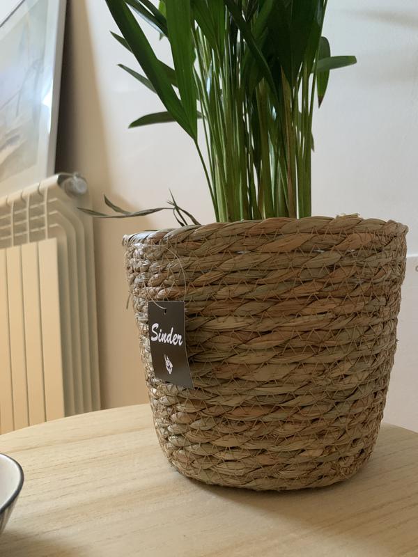 Abrir modal de revisión 1 de 1