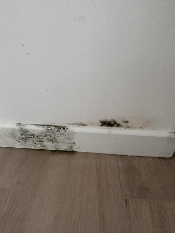 Abrir modal de revisión 1 de 2