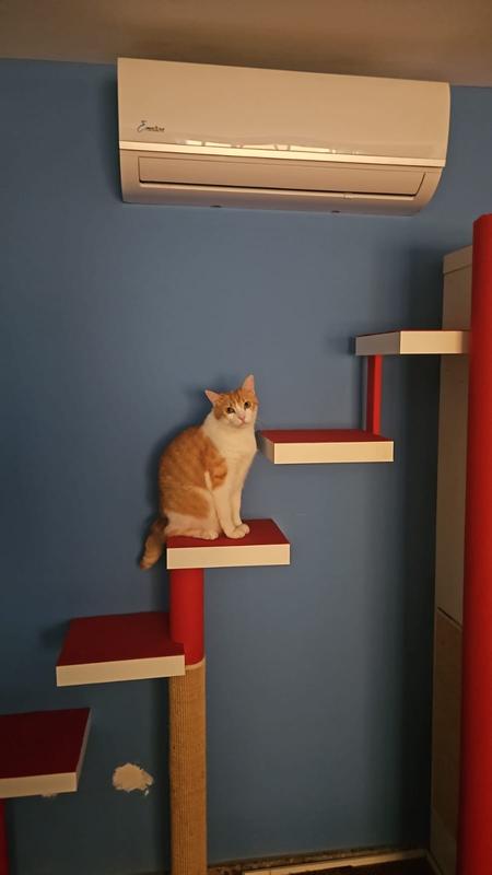 Abrir modal de revisión 1 de 1