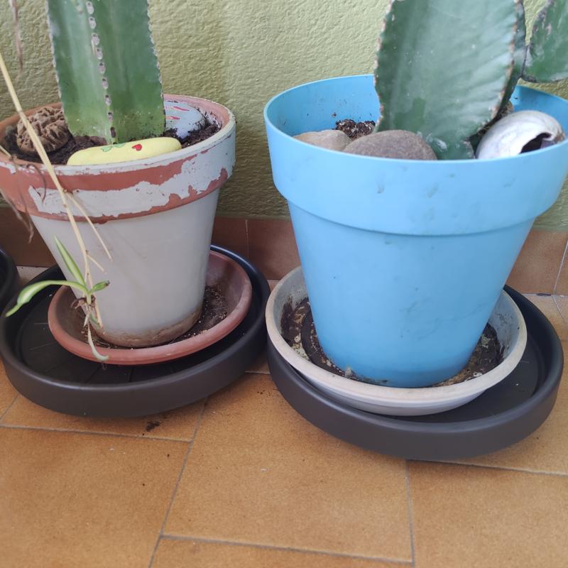 Abrir modal de revisión 2 de 3