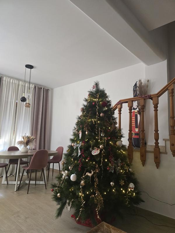 Abrir modal de revisión 1 de 1