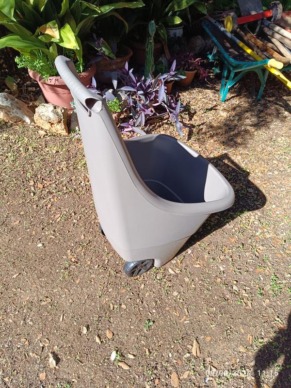 Abrir modal de revisión 1 de 1