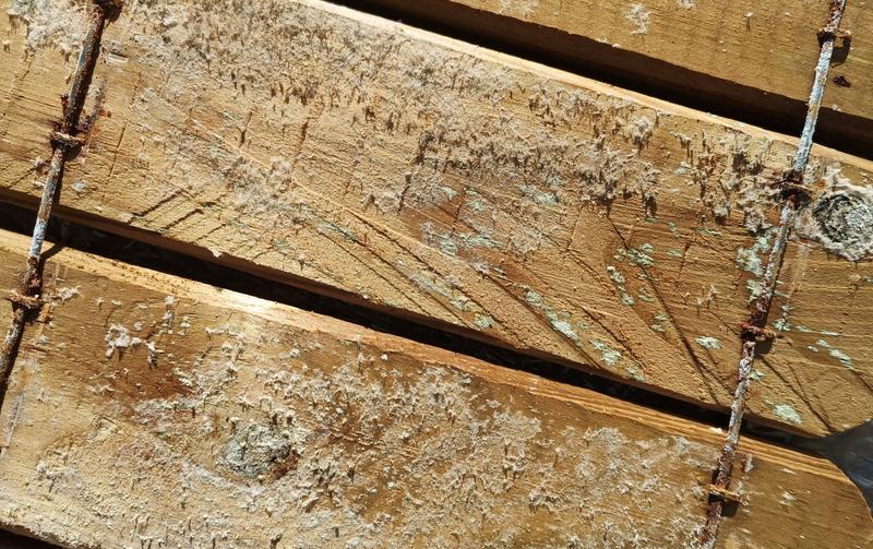 Abrir modal de revisión 1 de 1