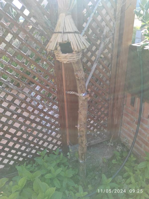 Abrir modal de revisión 1 de 1