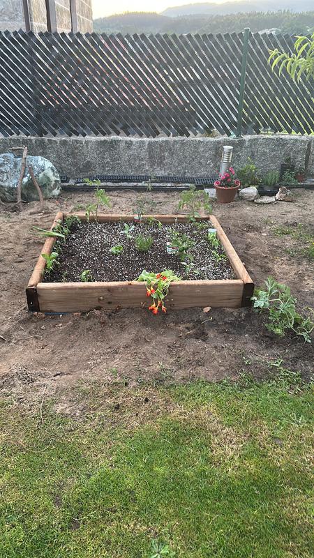 Abrir modal de revisión 1 de 1