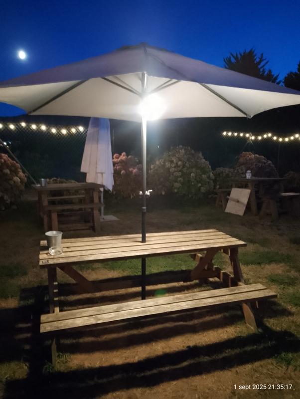 Abrir modal de revisión 1 de 2