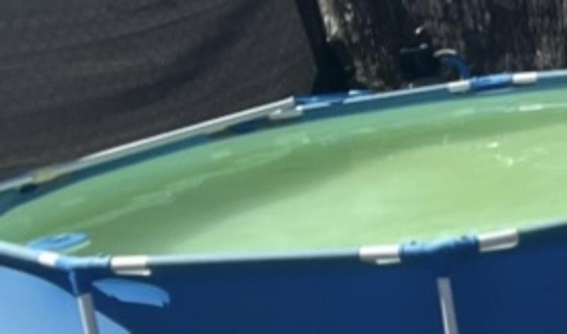 Abrir modal de revisión 1 de 2