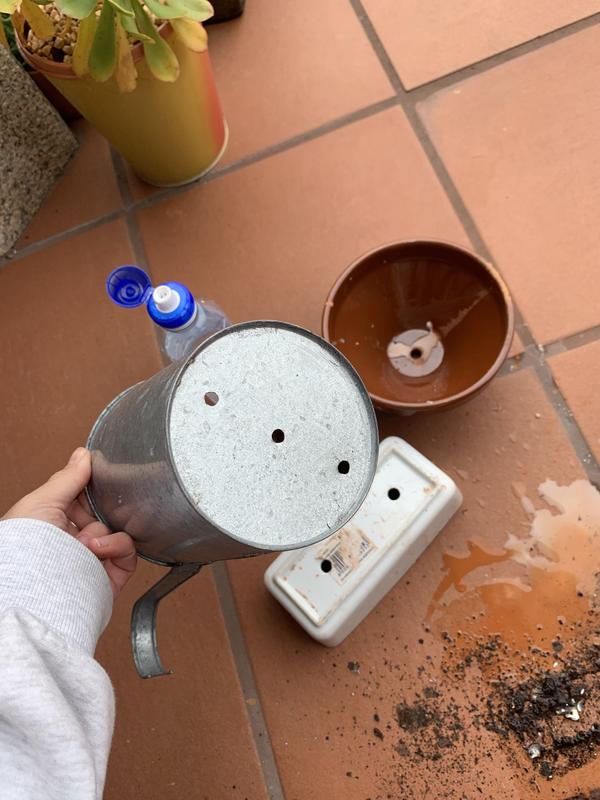 Abrir modal de revisión 1 de 1