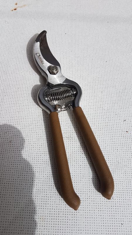 Abra o modal de avaliação 1 de 4